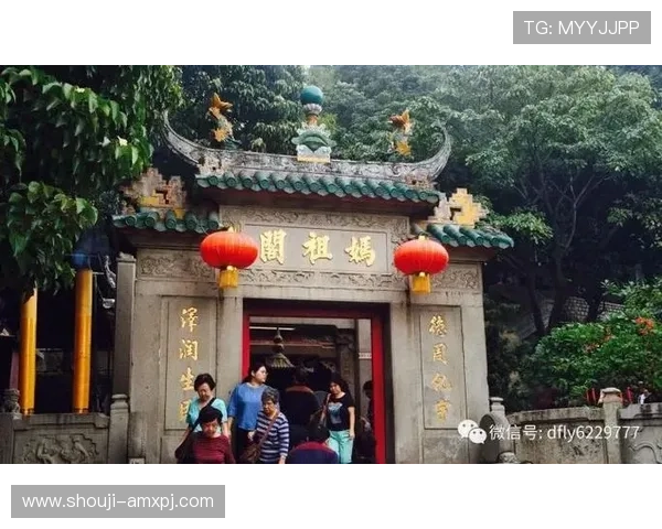 澳门新葡京威尼斯人交通指南详解如何便捷抵达及周边交通出行攻略